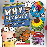 Fly Guy Presents: Why, Fly Guy? A Big Question and Answer Book