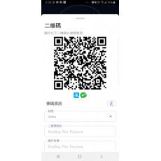 alipay / wechat payment