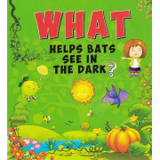 What Helps Bats See in the Dark?