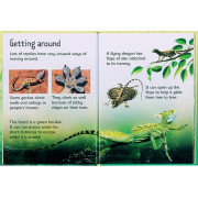 Usborne Beginners: Nature Collection - 10 Books
