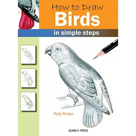 How to Draw Birds in Simple Steps