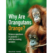 New Scientist: Why Are Orangutans Orange? Science Questions in Pictures - with Fascinating Answers