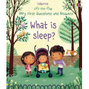 Usborne Lift-the-flap Very First Questions and Answers: What Is Sleep?