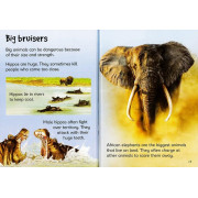 Usborne Beginners: Animals Collection - 10 Books