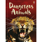 Usborne Beginners: Animals Collection - 10 Books