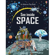 See Inside Space (An Usborne Flap Book)