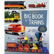 The Usborne Big Book of Trains