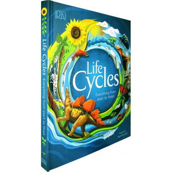 Life Cycles: Everything From Start to Finish