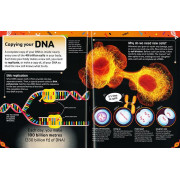 The DNA Book: Discover What Makes You You