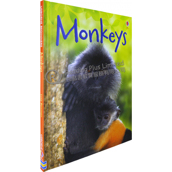 Monkeys (Usborne Beginners)