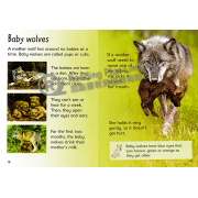 Wolves (Usborne Beginners)