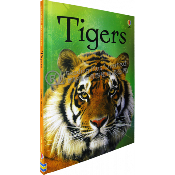 Tigers (Usborne Beginners)