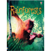 Rainforests (Usborne Beginners)