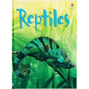Reptiles (Usborne Beginners)