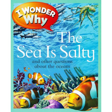 I Wonder Why: The Sea Is Salty and Other Questions About the Oceans