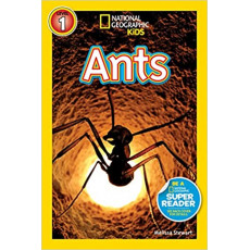 Ants (National Geographic Kids Readers Level 1)