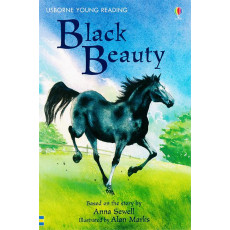 Black Beauty (Usborne Young Reading Series 2)