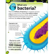 The Bacteria Book: Gross Germs, Vile Viruses, and Funky Fungi (2018) (DK)