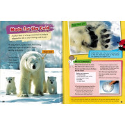 Fundamental Science: Key Stage 1 Collection - 10 Books