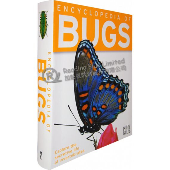 Encyclopedia of Bugs: Explore the Secretive Life of Invertebrates